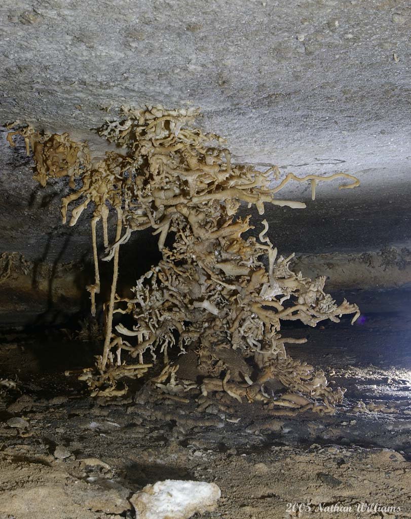 mangled  strangulation revisited 